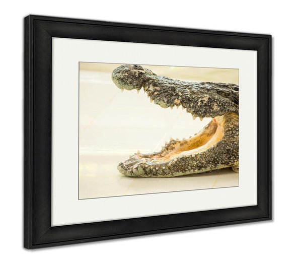 Framed Print, Dangerous Crocodile Open Mouth In Farm In Phuket Thailand Alligator In Wildlife